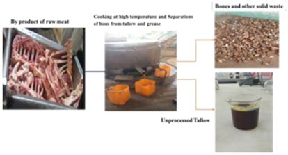  Tallow Extração e Utilização Industrial: Um Mergulho Profundo em um Material Essencial!