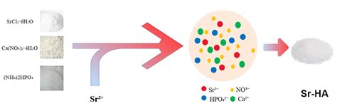 Strontium-doped Hydroxyapatite para Aplicações Biomédicas Revolucionárias: A Nova Fronteira da Engenharia Tissular?